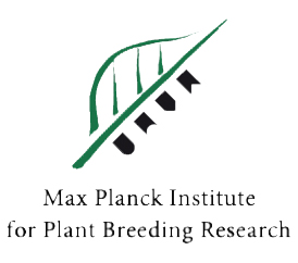 Max Planck Institute